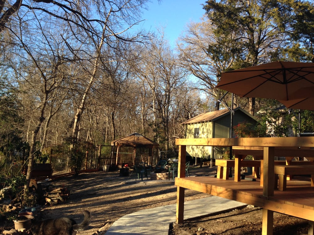 Living Tree Services