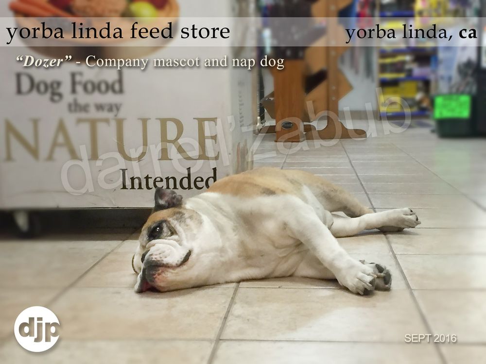 Yorba Linda Feed Store 30 Photos & 49 Reviews Farms 3782 Rose Dr