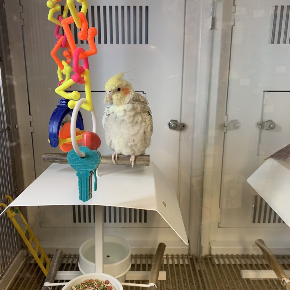 Aquarium and Pet Stores Yelp