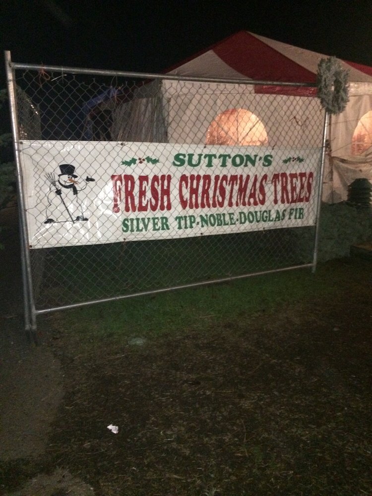 Suttons Christmas Trees