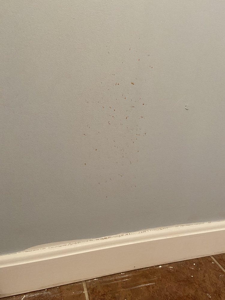 image of business Gerhardt Drywall & Painting