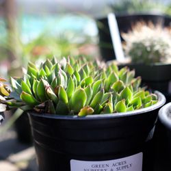 The Best 10 Nurseries Gardening In Sacramento Ca Last Updated Green Acres Nursery Supply
