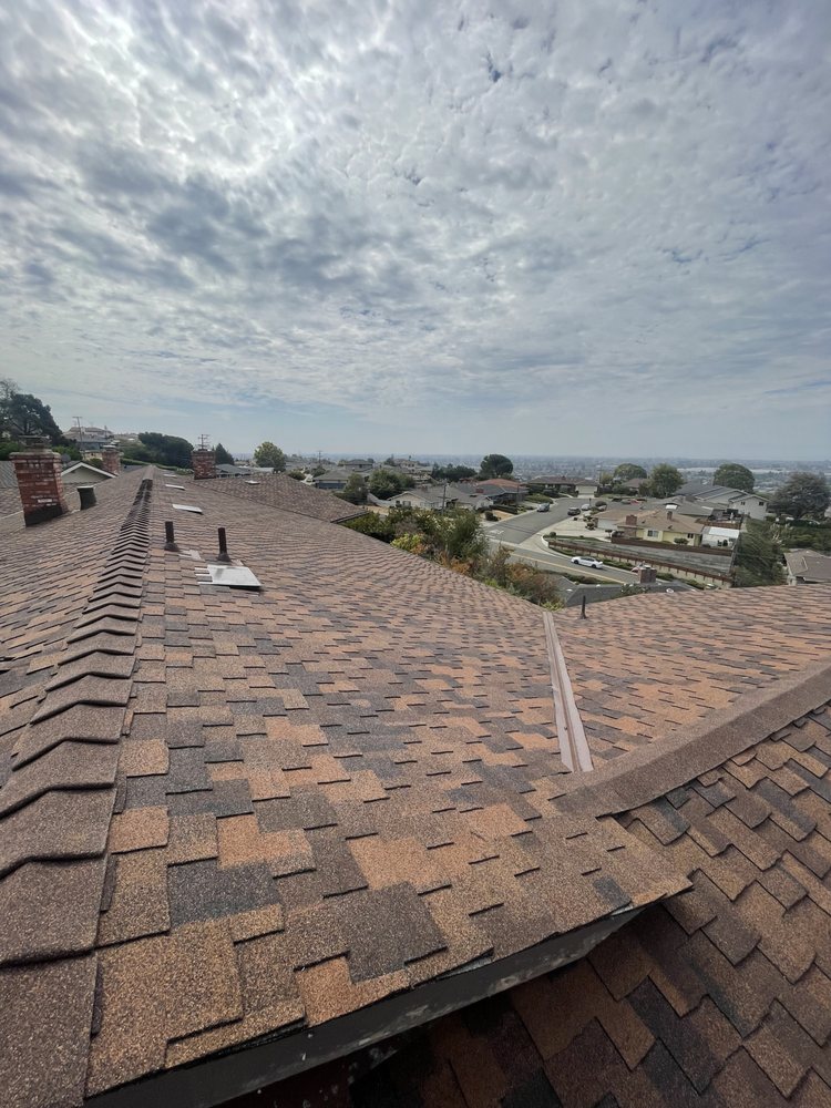 Premier Roofing and Waterproofing