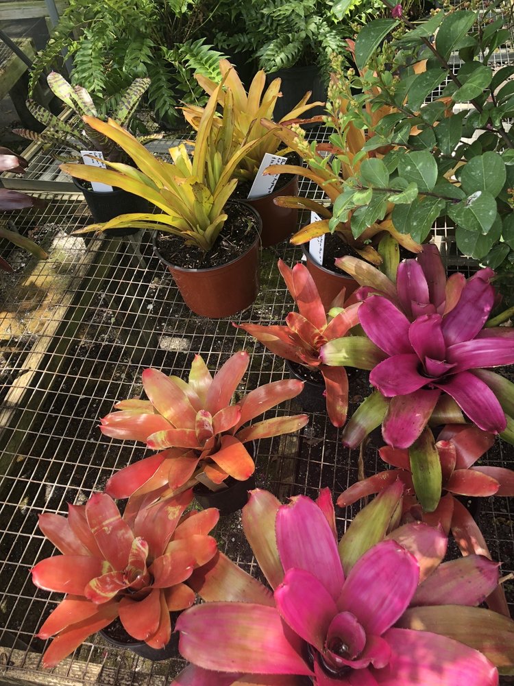 Burnett's Wholesale Nursery