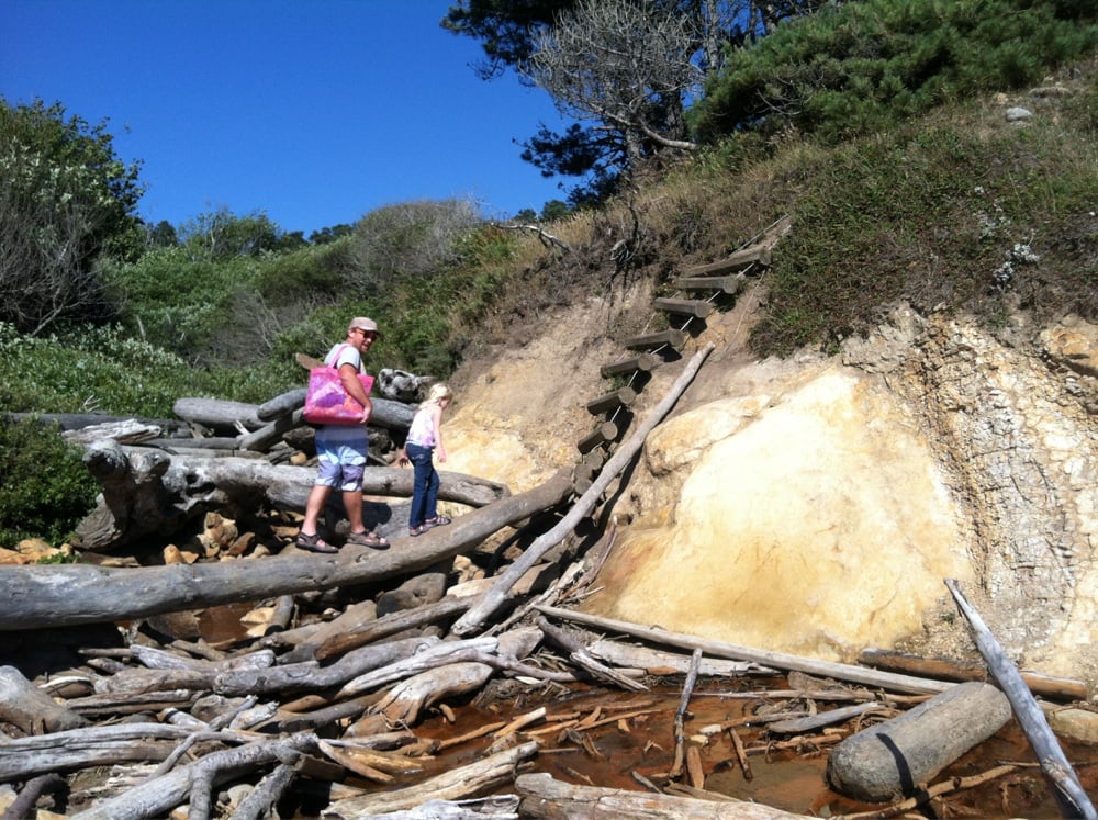 Bowling Ball Beach 16 Photos Beaches Point Arena, CA Reviews Yelp