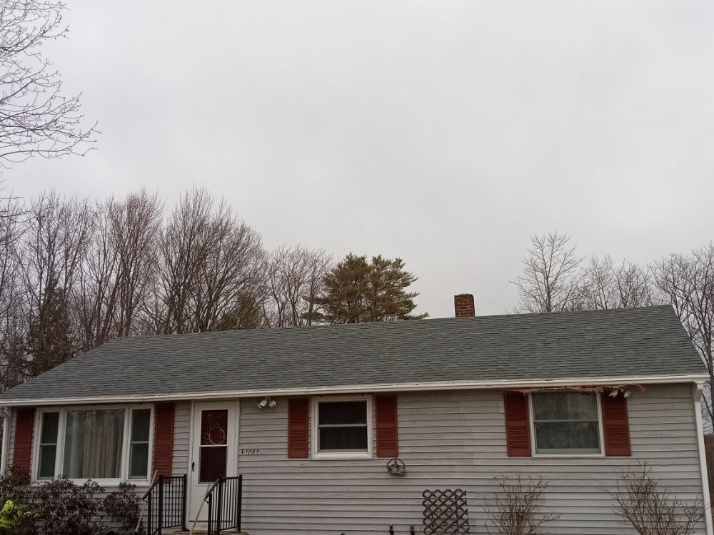 image of business Bagley & Son