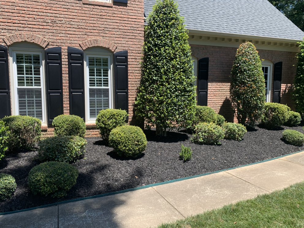 CSI Lawn Care Services