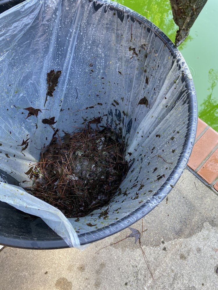 Island Pool Services