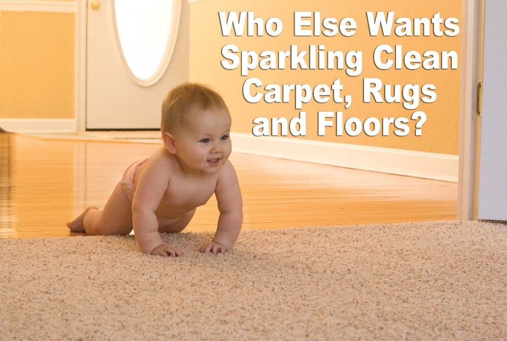 image of business Clean Sweep Services