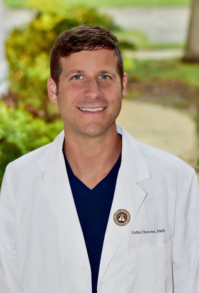 image of business Waterside Dental-Venice Island