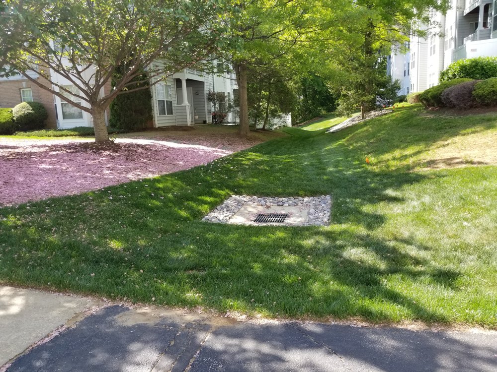 The Landscape Design Center