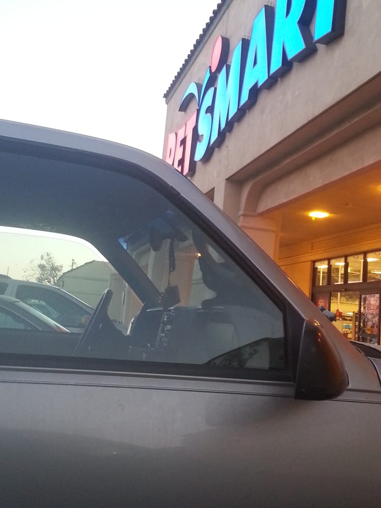 PetSmart CLOSED 22 Photos & 21 Reviews Pet Stores 2021 N Oxnard