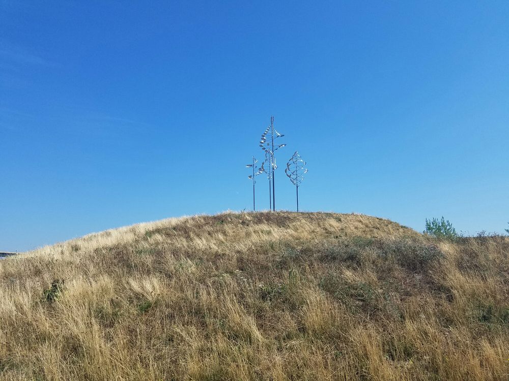 Wilkeson Pointe Park 55 Photos & 10 Reviews Parks 225 Fuhrmann