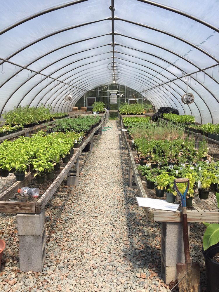Jubilant Gardens Nurseries Gardening 319 South Providence Rd Jubilant