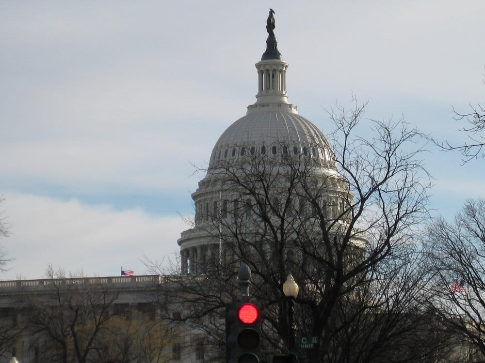 The U.S. Capitol (with a red light and behind a tangle of tree branches