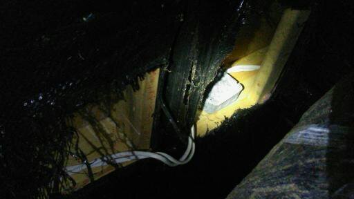 Freeman Pest Control