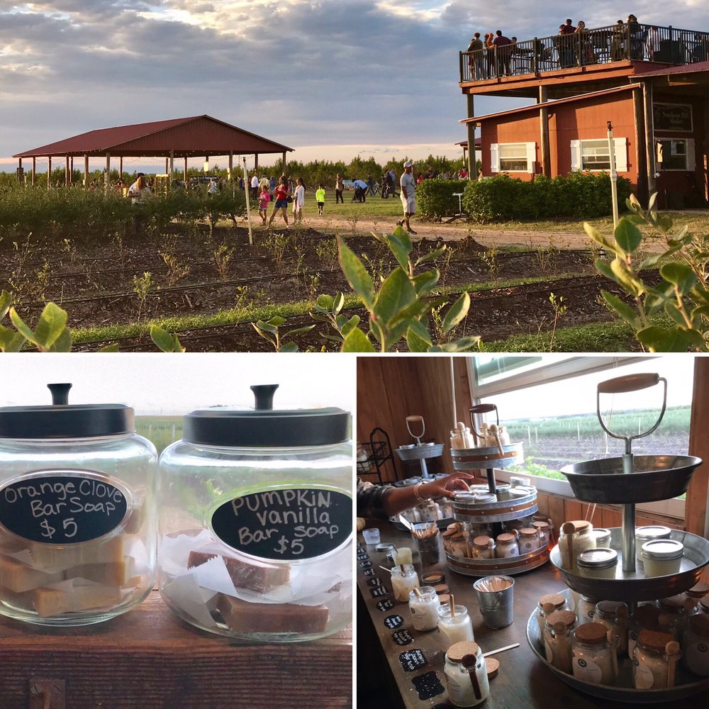 Southern Hill Farms 334 Photos & 52 Reviews Farms 16651 Schofield