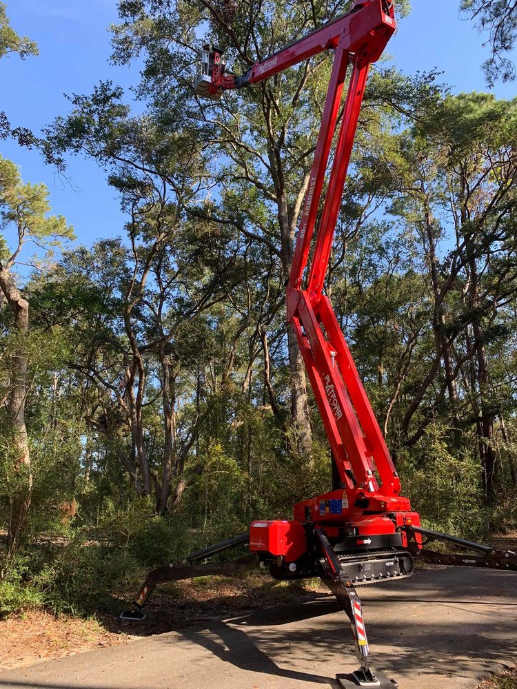 A Cut Above Tree Experts
