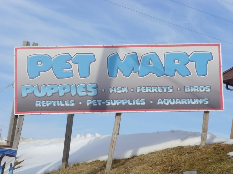 pet mart pet shops 6027 n brady st davenport ia pet mart pet shops 6027 n brady st davenport ia