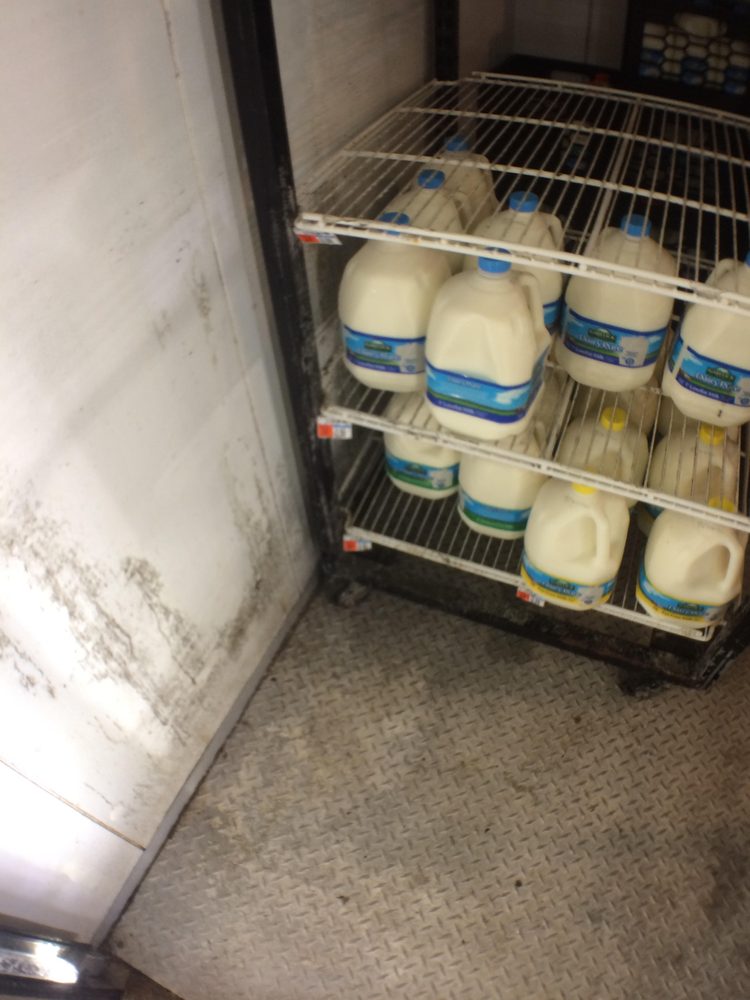 A Few Years Later And Their Mold Issue Is Back Just Got From