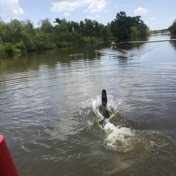 Swamp Tour New Orleans >> New Orleans Swamp Tours 13 Photos Boat Tours 4575 Jean Lafitte Swamp Tour New Orleans >> New Orleans Swamp Tours 13 Photos Boat Tours 4575 Jean Lafitte
