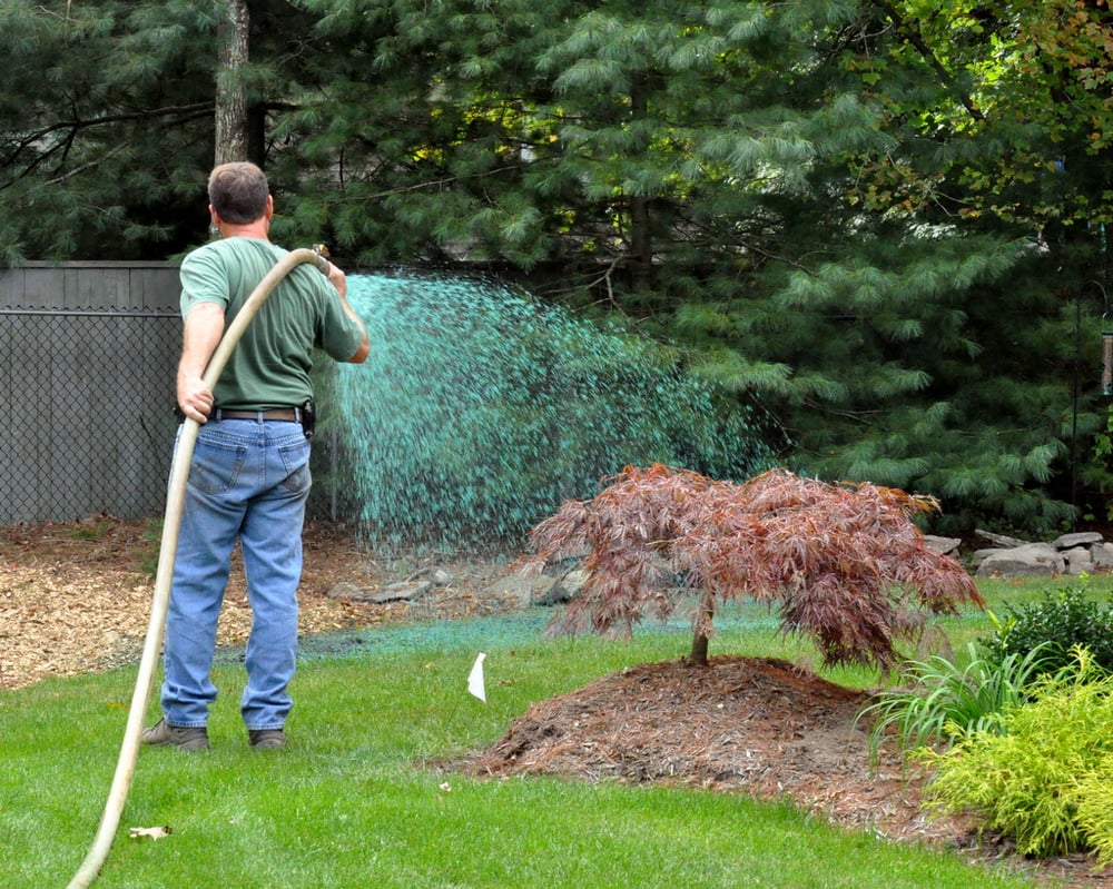image of business Briggs Landscape Construction Inc