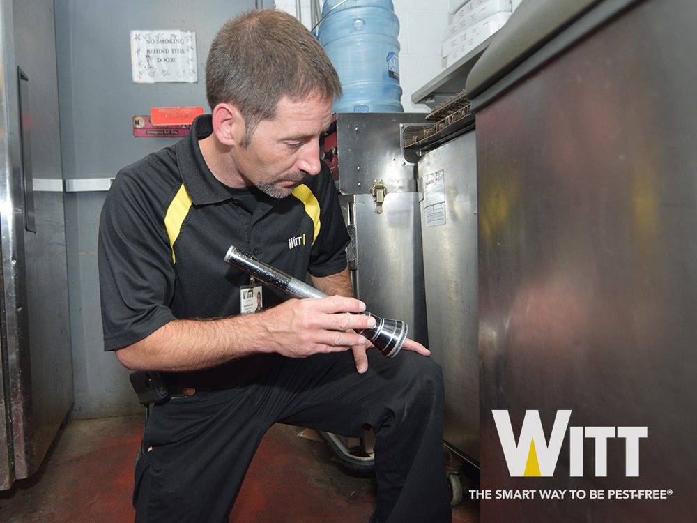 Witt Pest Management