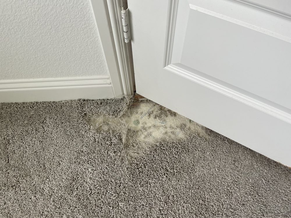 image of business Carpet Outlets of Texas