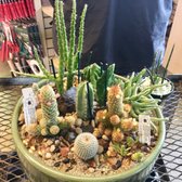 Yelp Reviews For East Bay Nursery 78 Photos 162 New