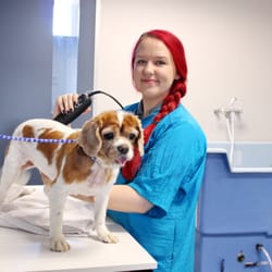 Photo of Gregory Hills - Macarthur Vet Group - Gregory Hills New South Wales, Australia. Grooming services