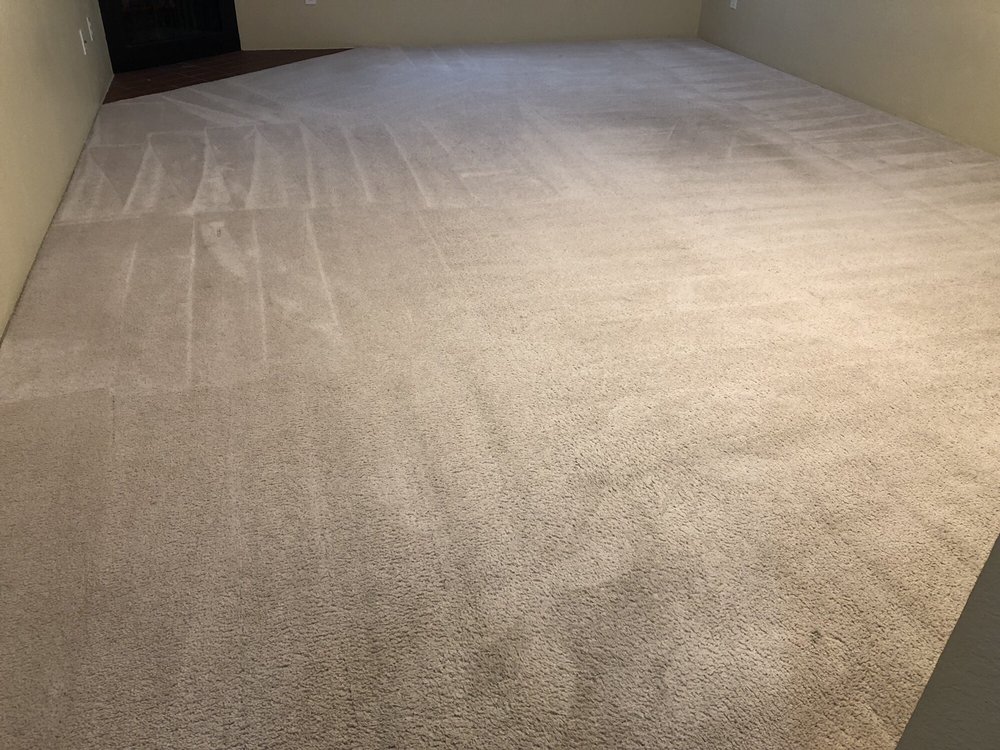 North Seattle Carpet Cleaning