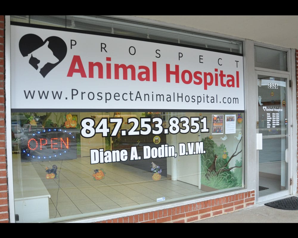 Prospect Animal Hospital 26 Photos Veterinarians 2326 E Rand Rd