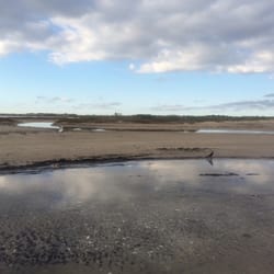 Matagorda Bay Nature Park Reviews Matagorda Bay Nature Park Reviews