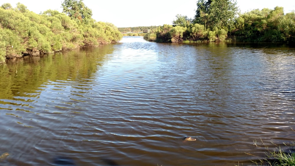 Bayou Sauvage National Wildlife Refuge - 62 Photos & 15 Reviews - Parks