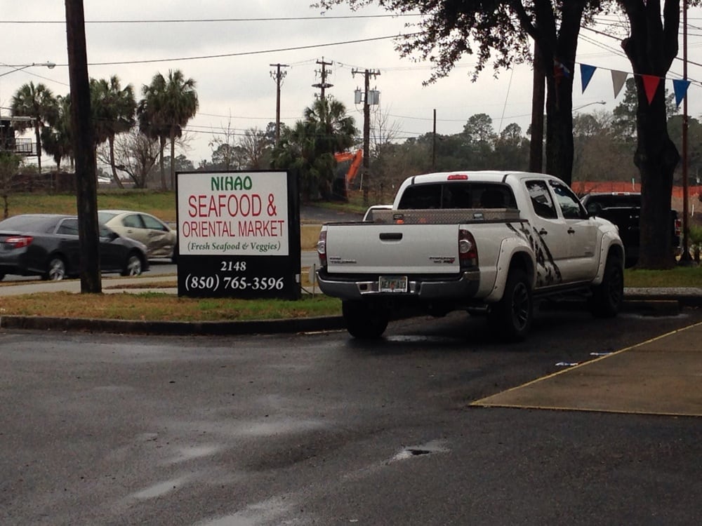 Asian restaurants in tallahassee fl Pointy tits over forty with dildo