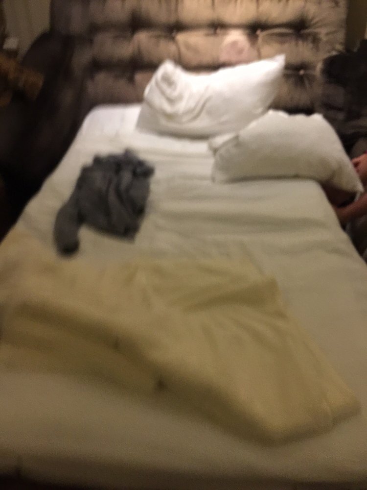 Sofa Bed Yelp