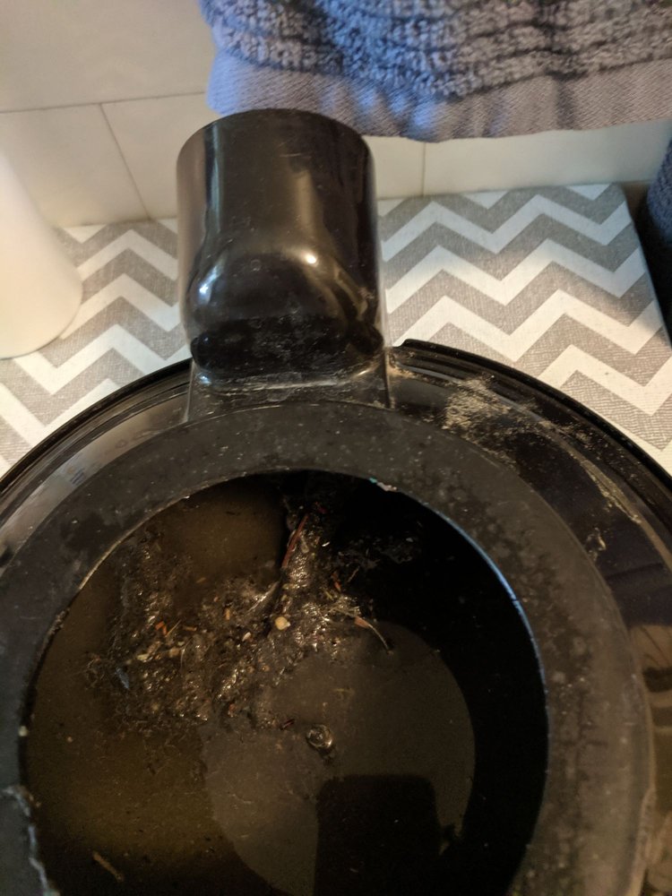 Oxi Fresh Carpet Cleaning
