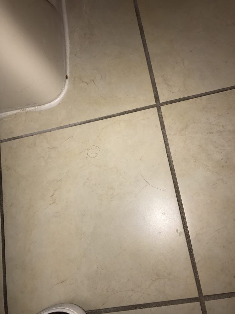 Hair All Over The Bathroom Floor Yelp Photo Of Emby Suites By Hilton Atlanta Perimeter Center Ga United States