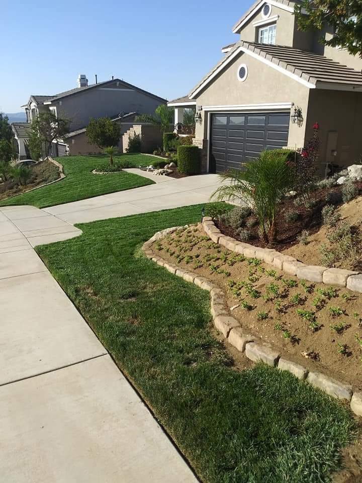 López Lawn and Tree Service