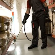 Photo of Be Pest Free - Brisbane Queensland, Australia