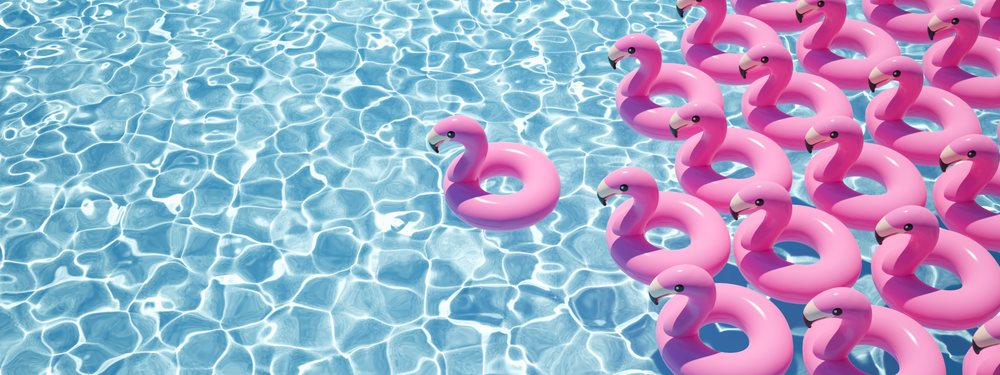 Pink Flamingo Pool Company