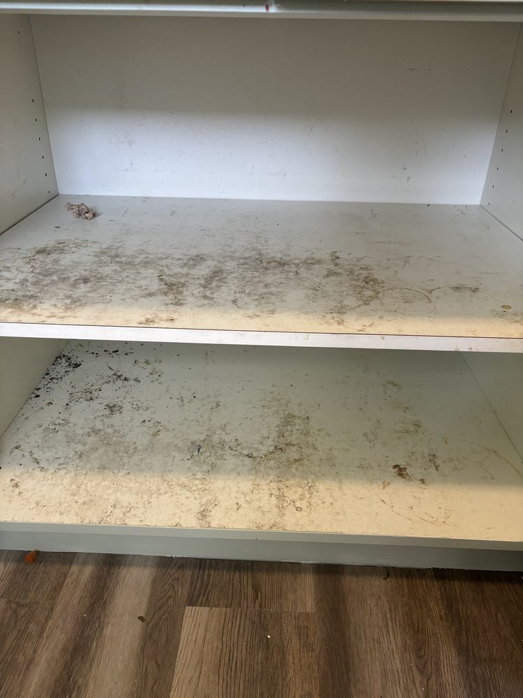 RMG Cleaning