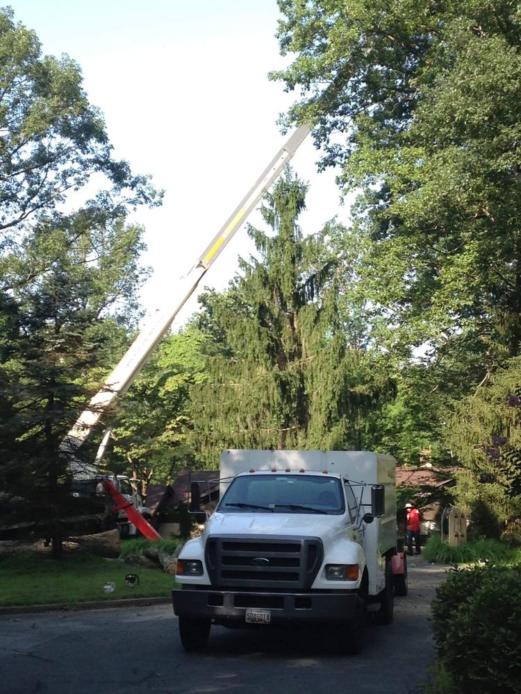 J & B Tree Services