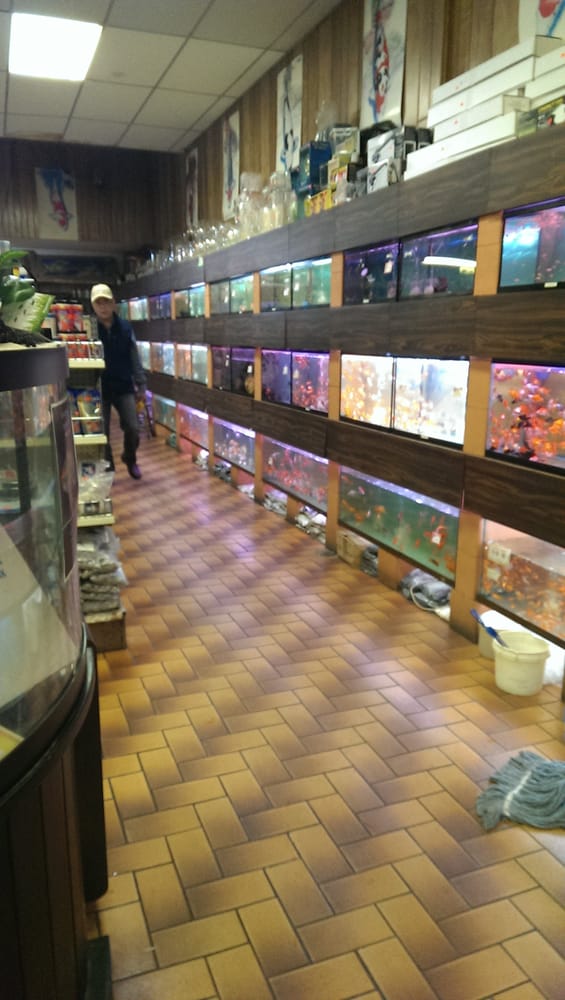 Main Aquarium