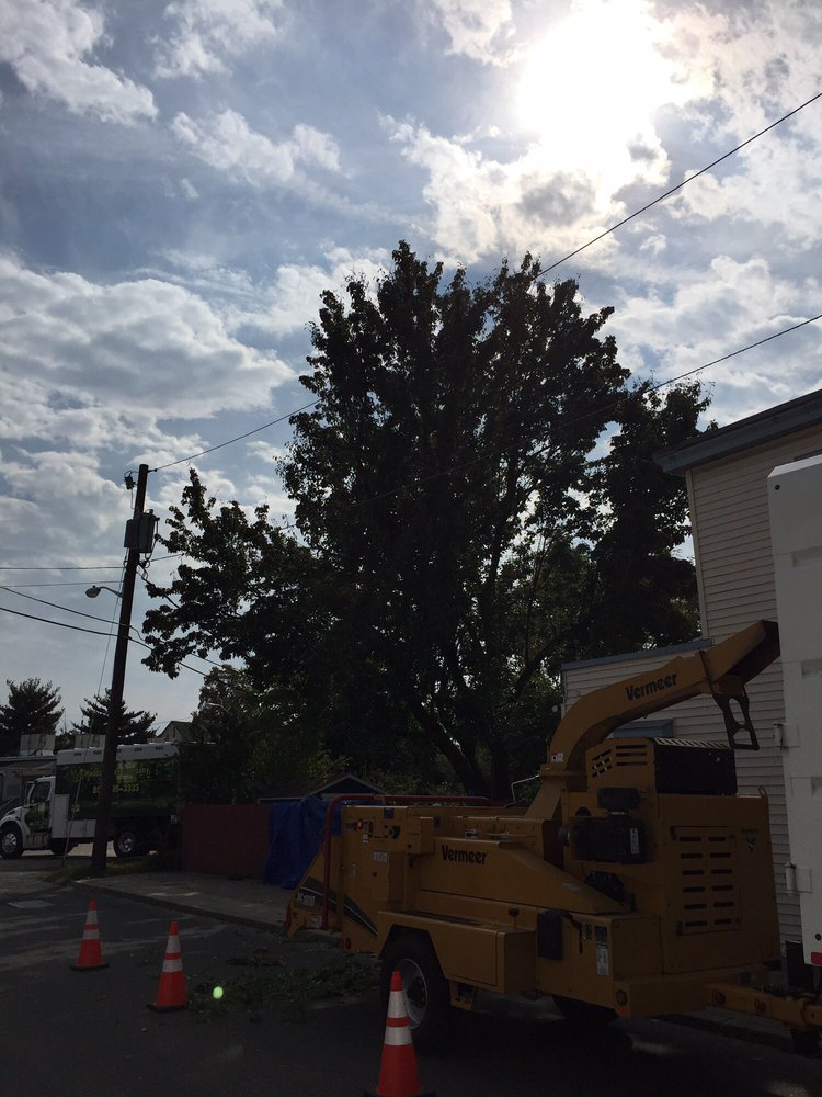 Haddon Tree Company