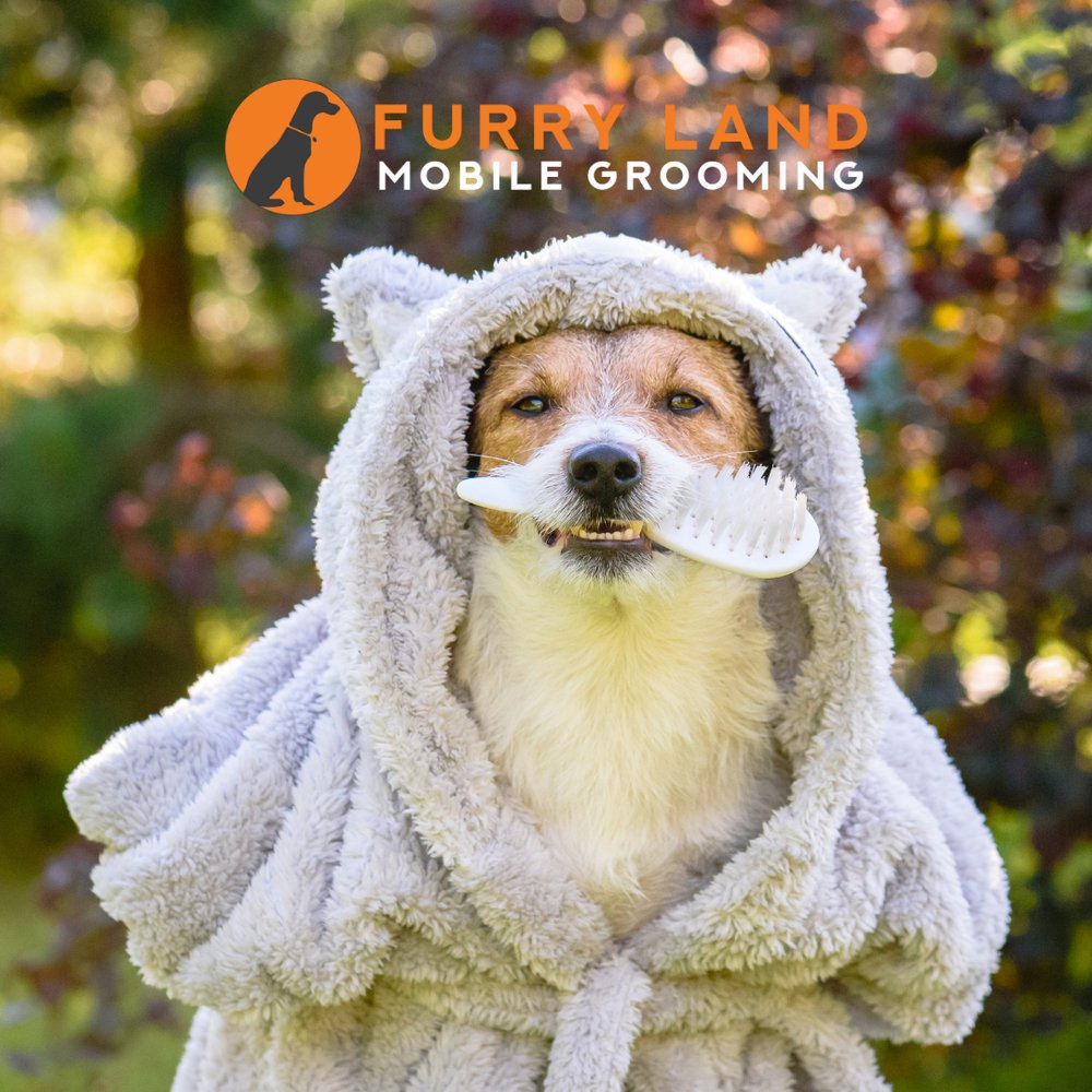 Furry Land Mobile Grooming