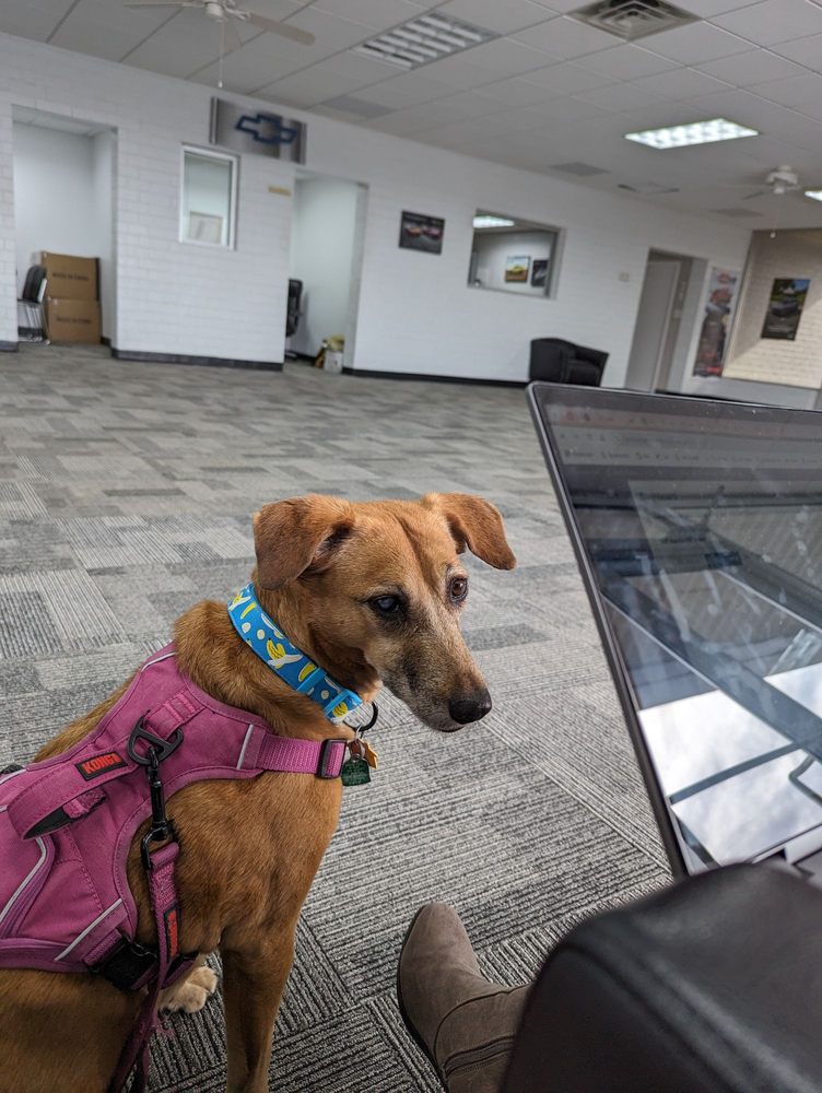 Deacon Jones Chevrolet of La Grange