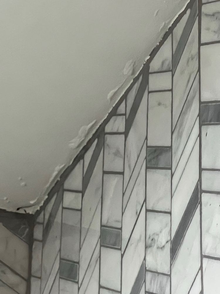 Carolina's City Painters