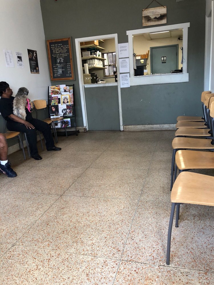 Erdman Animal Hospital 2019 All You Need to Know BEFORE You Go (with