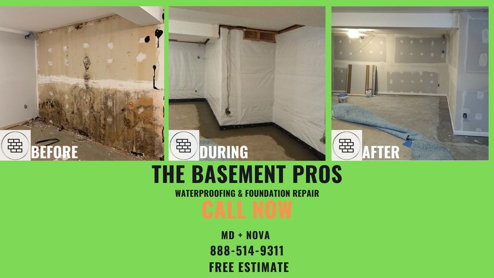 The Basement Pros